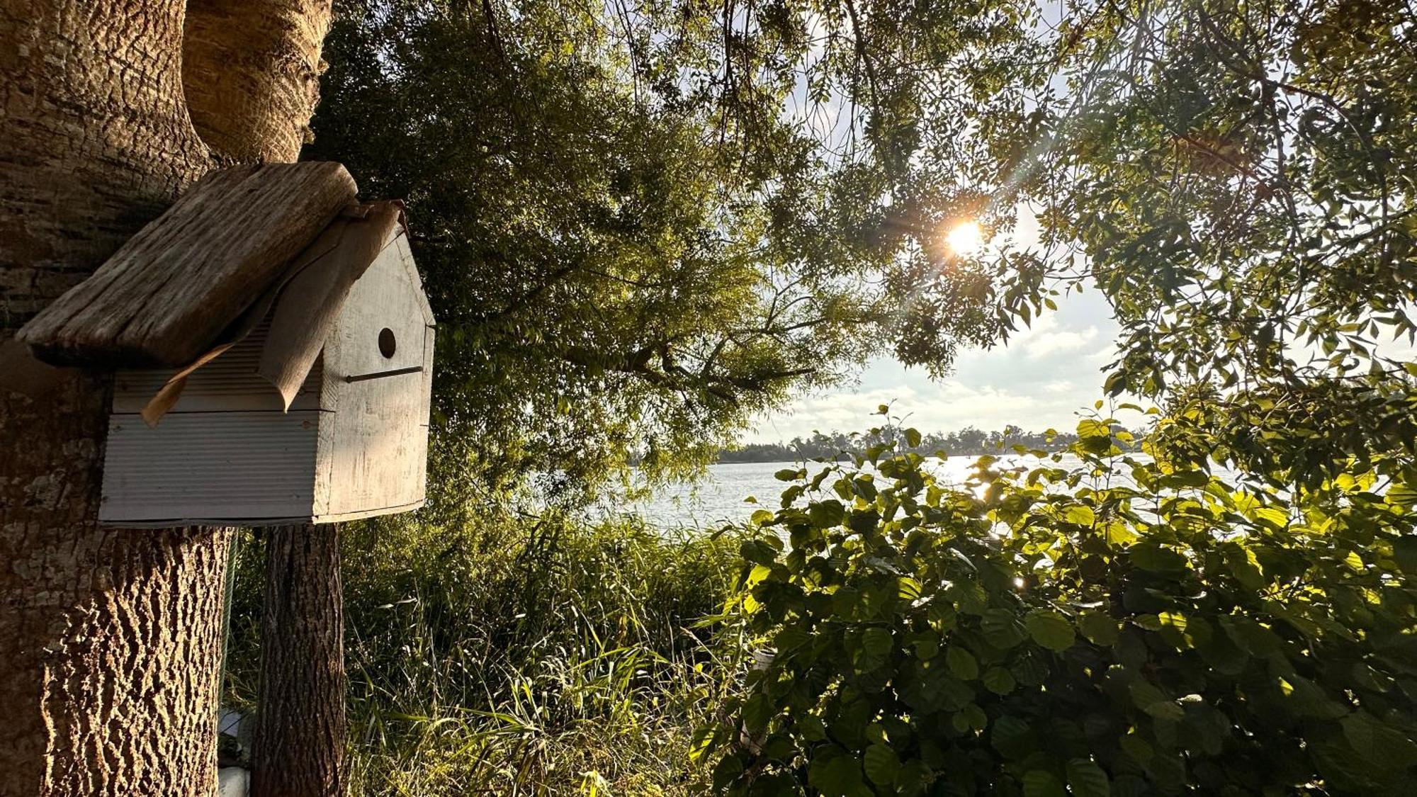Casa Do Areal, Refugio Das Rotas Pedestres Em Mira Mira (Coimbra) Exterior foto